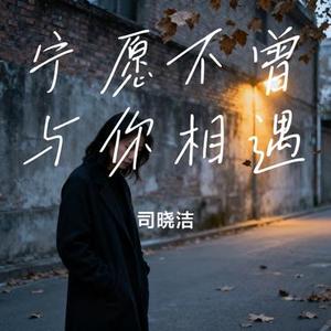 宁愿不曾与你相遇 (Cover 烟嗓超哥)