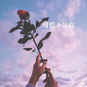 可惜不是你