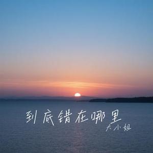 到底错在哪里 (Cover 洋澜一)