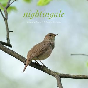 Nightingale