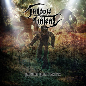 The Shaping Sickness