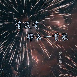有没有那么一首歌