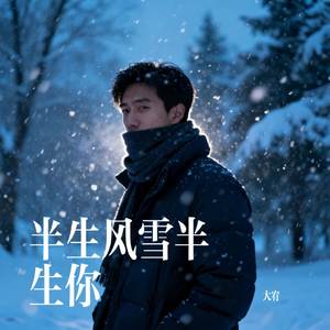半生风雪半生你