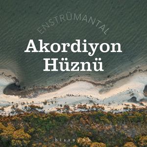 Akordiyon Hüznü