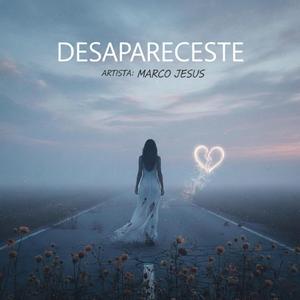 Desapareceste