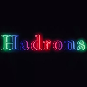 Hadrons