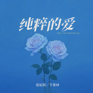 纯粹的爱