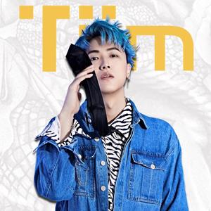 爱投罗网 (Tiim Mashup)