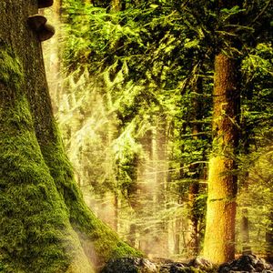 月光是梦的衣裳