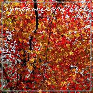 Accompagnato: Thus Saith The Lord Of Hosts