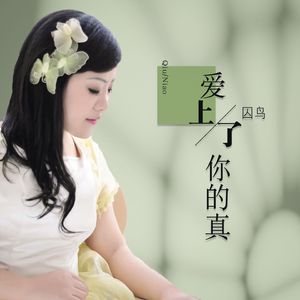 爱上了你的真 (DJ版)