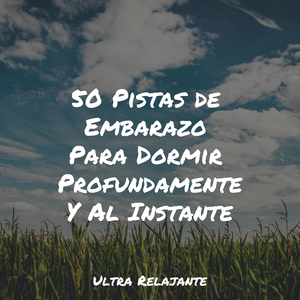 Melodía De Meditación Matutina