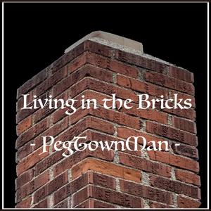 Living in the Bricks