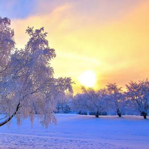 我只能在远处偷偷观望