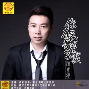 陈星华 - 你在花香里等我 伴奏