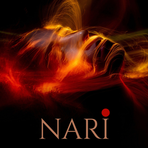 Nari
