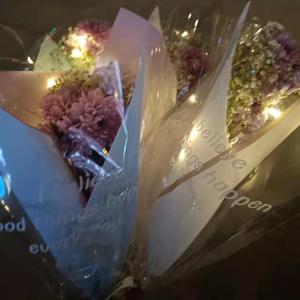 舔狗日记(Prod by MEGA)