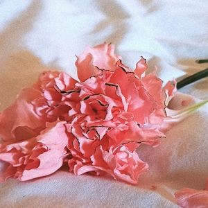 Alétheia (Un Clavel Para)
