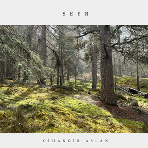 Seyr
