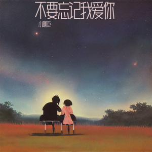 不要忘记我爱你 伴奏