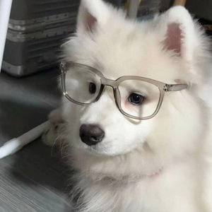 当我想你之时pt.1