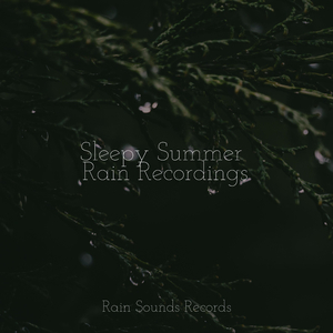 Flittering Daydreams