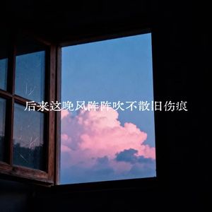 后来这晚风阵阵吹不散旧伤痕