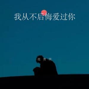 我从不后悔爱过你