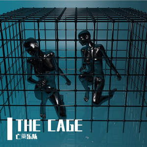 THE CAGE