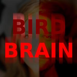 Bird Brain