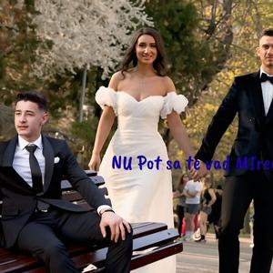 Nelu Popa si Oprita de la Blaj (Nu pot sa te vad mireasa)