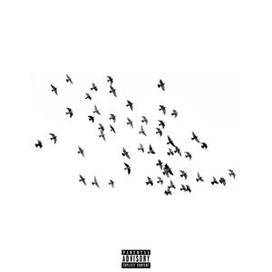 For The Birds (Intro)