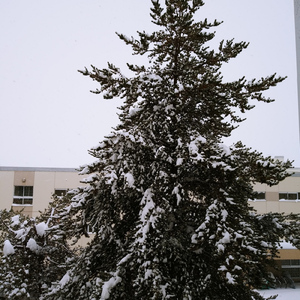 君とクリスマス (feat. Beatmaker okuni)