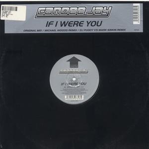 If I Were You (DJ Puddy vs. Mark Simon Remix) (DJ Puddy vs. Mark Simon remix) (DJ Puddy vs. Mark Simon remix)