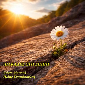 ΛΙΑΚΑΔΕΣ ΣΤΗ ΣΙΩΠΗ