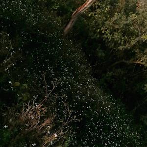 雨后等彩虹 伴奏