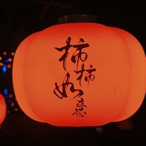 少年
