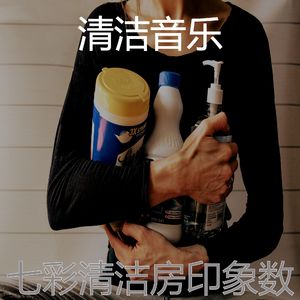 一尘不染清洁房印象数