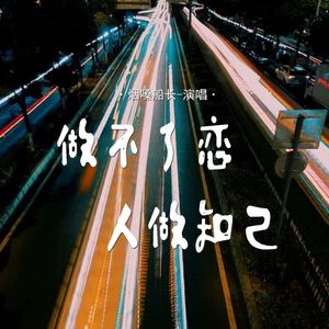 做不了恋人做知己 (伴奏)