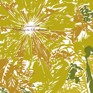 Deeper In The Forest (K5-C5 Pt.2)