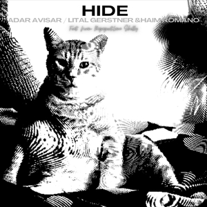 Hide (Instrumental) [feat. Lana Shelley & Noam Rapaport]