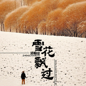 雪花飘过