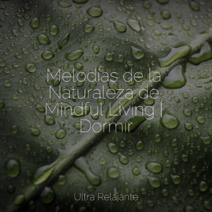 Llamada De La Naturaleza