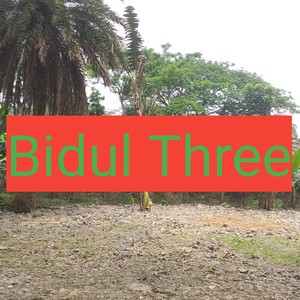 Bidul Three