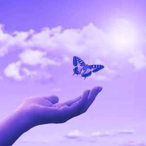 抚慰的工作重点回忆