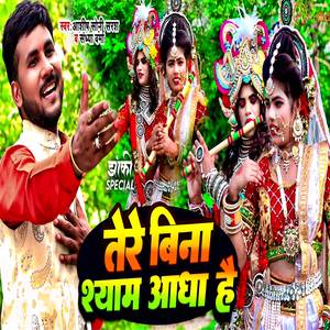 Tere Bina Sayam Adha Hain