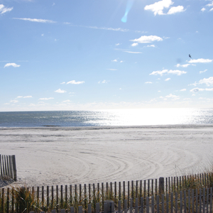 Excerpts From A Shade Of Blue