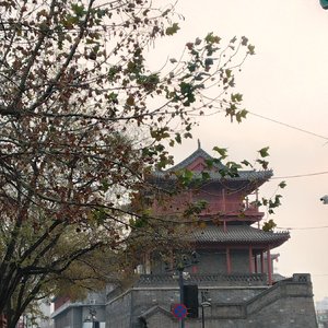 一场盛大的现实主义文学