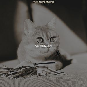微妙的睡猫心情