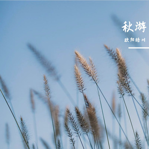 秋游-整曲 伴奏